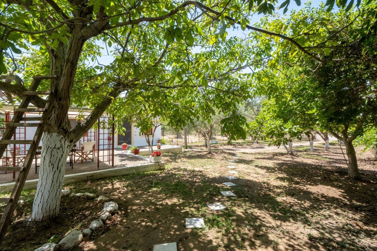 Nagia'S House, Εξοχική Κατοικία Κοντά Στη Θάλασσα! Korakochori Exterior photo